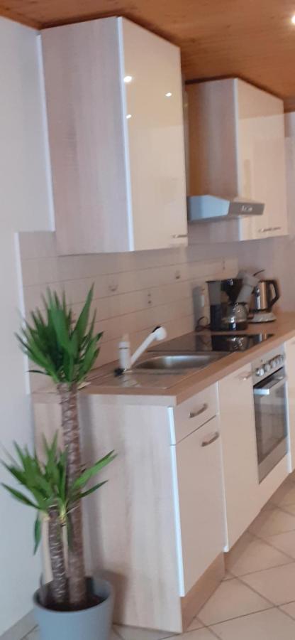 Ferienwohnung Ehlen Im Alten Winzerhaus 泽汀恩拉蒂 外观 照片